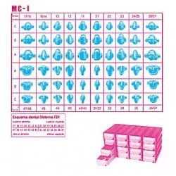 MC-I Estuche preformas de cera individuales